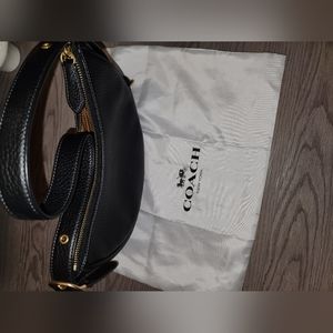 Coach Luna Medium Leather Bag